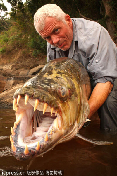 让人不寒而栗的河中巨怪： 英国男子杰里米-维德（Jeremy Wade）是著名的探索类节目《河中巨怪》的主持人。