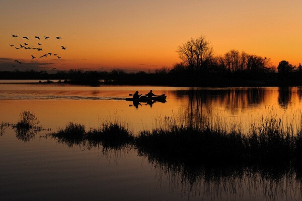 Lake Sedgewick, Orland Park, 伊利诺伊州。落霞与群雁齐飞。摄影：Glenn Nagel。