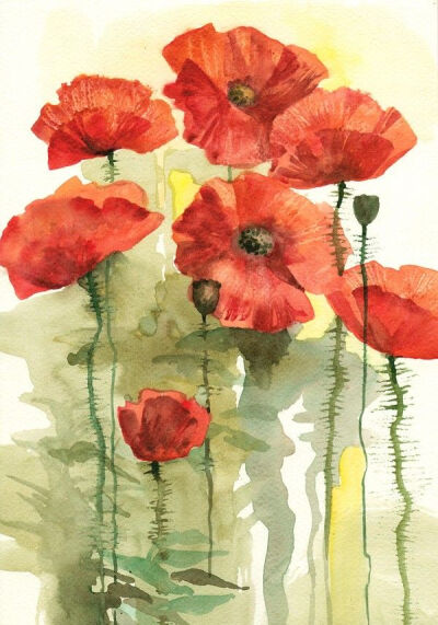 Bloomed Poppies - original watercolor painting