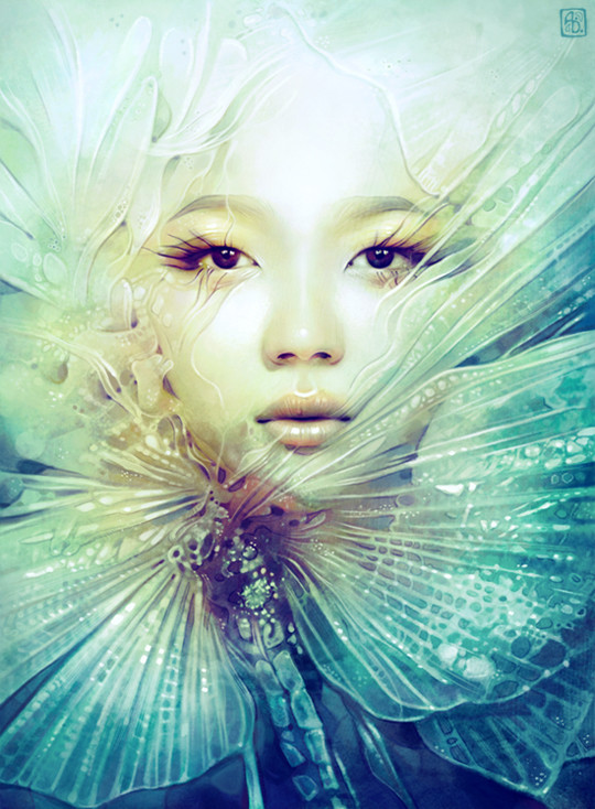 Anna Dittmann作品欣赏（二）