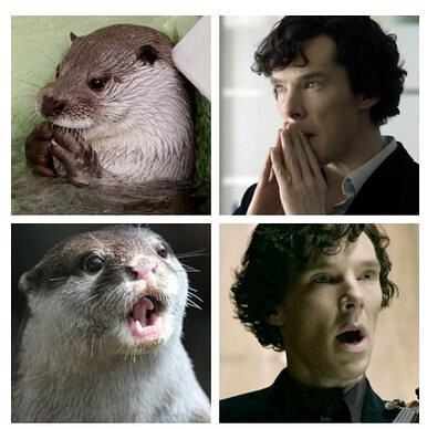 你要是嫁人不要嫁给别人