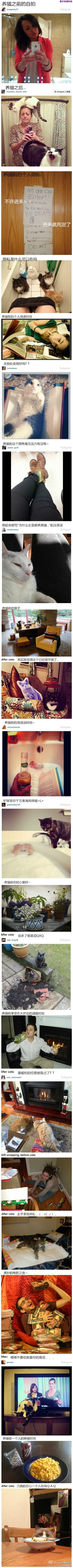 【有猫前vs有猫后】想要踏入猫奴行列的可要考虑好~ (cr：Buzzfeed)