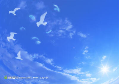 自由飞翔的鸽子群高清摄影素材图片，桌面壁纸