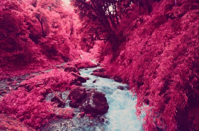 Infrared Photography of Nepal