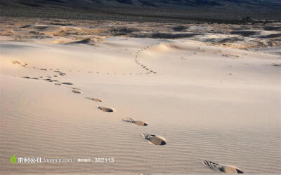 沙丘沙漠上向远处延生的脚印图片设计背景