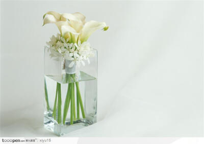 杯中的白色百合花背景图片高清图片素材