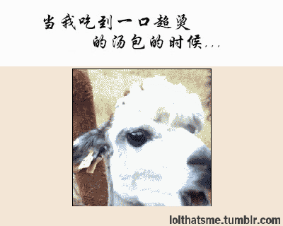 拍桌狂笑！哈哈哈哈哈哈！！