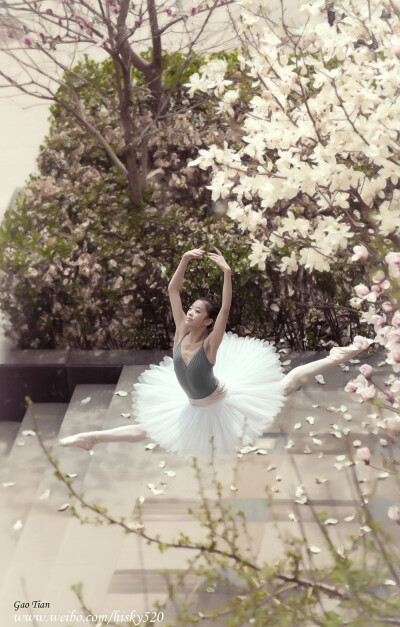 春天的芭蕾