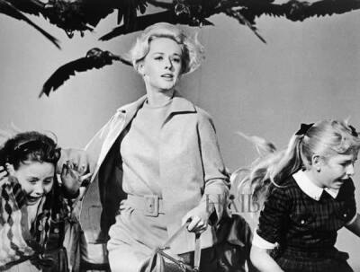 蒂比·海德伦 (Tippi Hedren) 《群鸟》The Birds(1963)