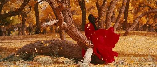 太.......太帅了！