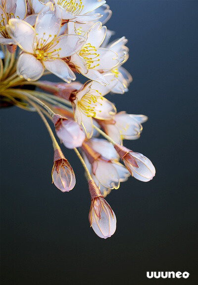 日本传统发饰Kanzashi——花卉篇