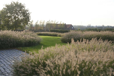 Landschappelijke tuinen | Filip Van Damme