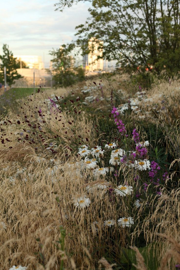 Olympic Park. Olympic gardens Europe. Sarah Price.