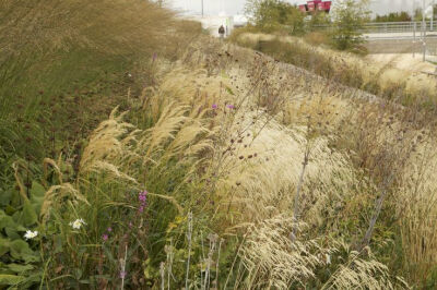 Olympic Park. Olympic gardens Europe. Sarah Price.