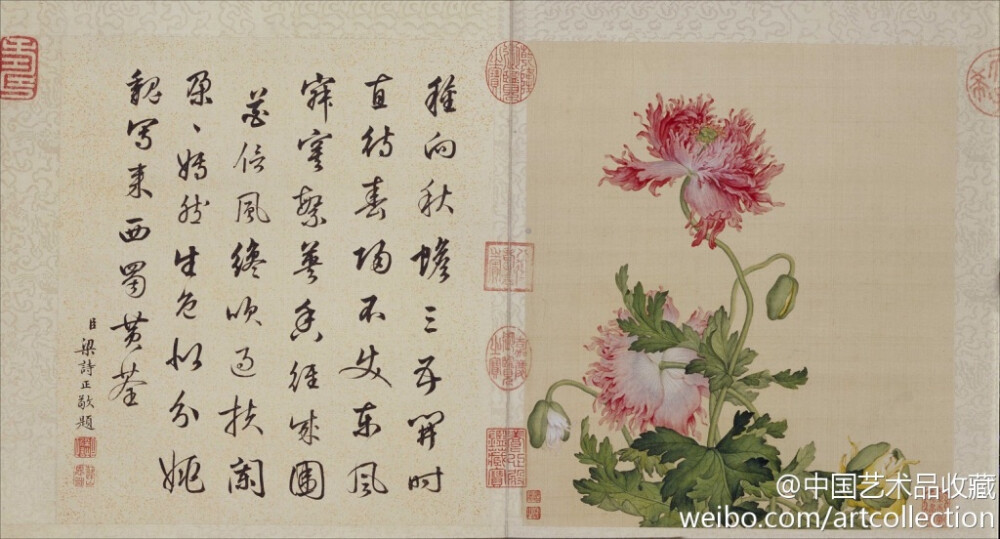 【 清 郎世宁 《花鸟图册》 】册页，绢本设色，32.6×28.6cm×10，北京故宫博物馆藏。 此图册分别描绘了牡丹、兰花、罂粟、萱草、荷花、梅花等艳丽多姿的花卉和体态生动的蝶、鸟。技法上发挥了欧洲绘画注重明暗及透视的特点，以工致细腻的笔触，刻画出花瓣、叶片以及鸟雀的羽毛质感和体积感。