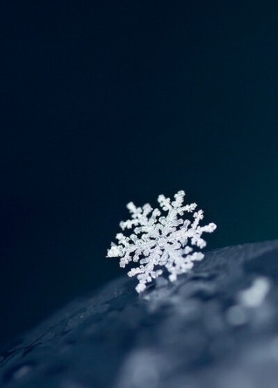 听说雪会来，于是 我等待，一场倾城的飞扬。