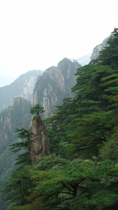 黄山：绿色之中忽现一座小山峰，似笔，似箭，山峰顶端又长一颗小小的松树，仿佛叙说着生命的顽强！