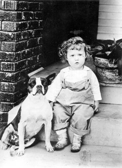 Little boy and a Boston Bulldog