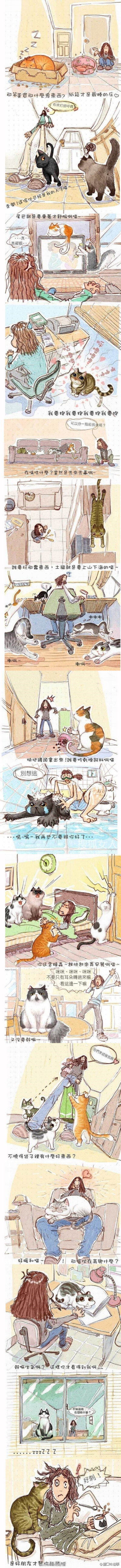 这才是猫咪的本意，你都了解么？=￣ω￣=