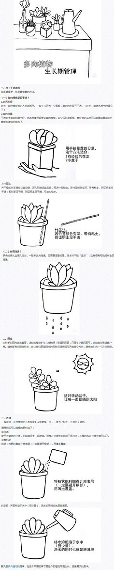 可爱的日本多肉植物