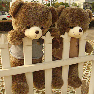 包邮毛绒玩具熊泰迪熊公仔毛衣熊维尼熊 刺猬熊娃娃大号抱熊正版