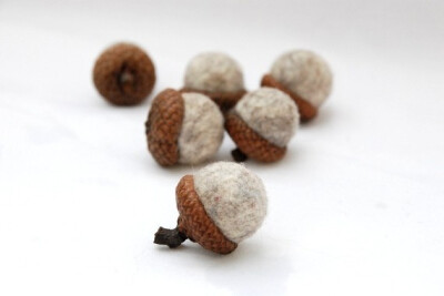 Wool Felted Acorns