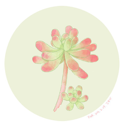 PiKA工 的插画 多肉 - 乙女心Sedum pachyphyllum