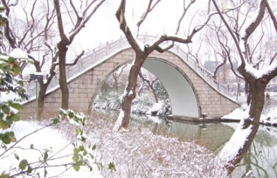 瘦西湖雪景。Photo by：大江东去