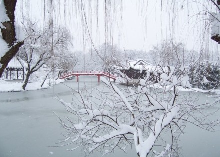 瘦西湖雪景。Photo by：大江东去