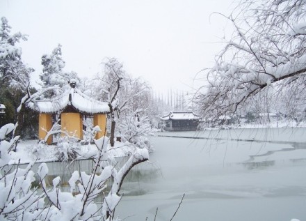 瘦西湖雪景。Photo by：大江东去