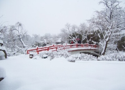 瘦西湖雪景。Photo by：大江东去