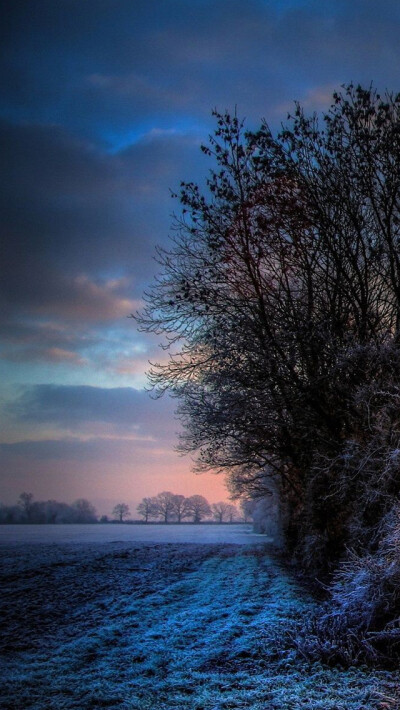 Frosty Sunset iPhone 5s Wallpaper