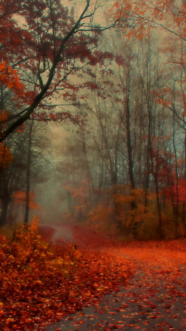 Romantic Autumn iPhone 5s Wallpaper