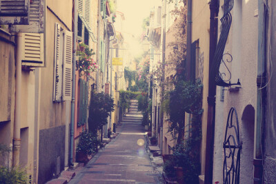 让我得以栖息。