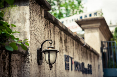 好像永远活在旧光阴里，不忍苏醒。