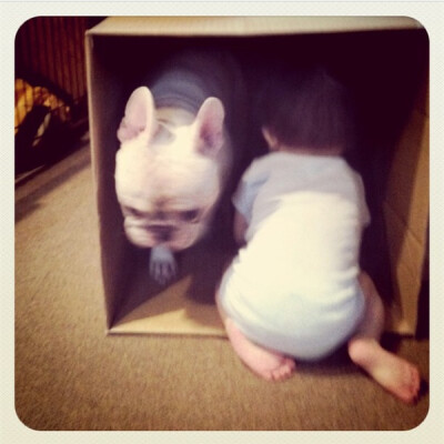 Roche&amp;Muu 一对萌兄弟