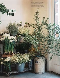 love the white and greens