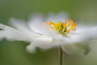 Mandy Disher.