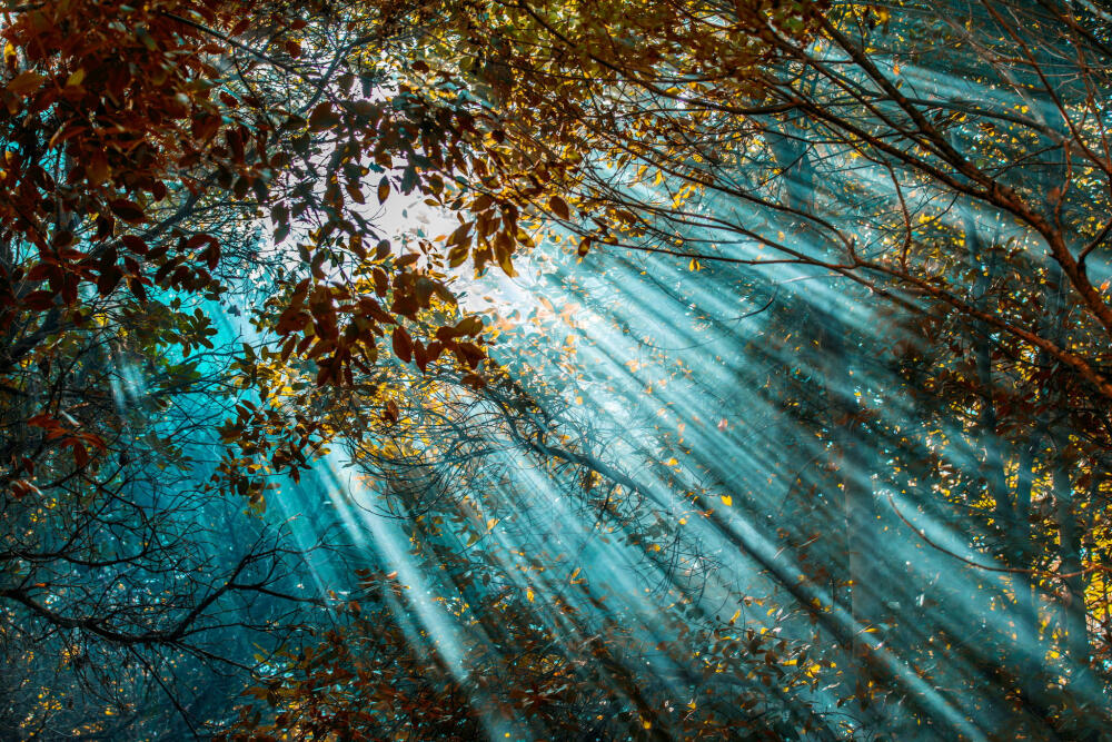 Photograph hidden sunlight by Filiz TüLü on 500px