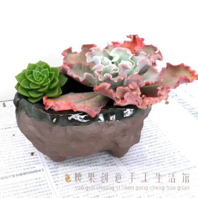 多肉/绿植装饰花盆/花器/陶盆/田园/ZAKKA/陶瓷/椭圆盆