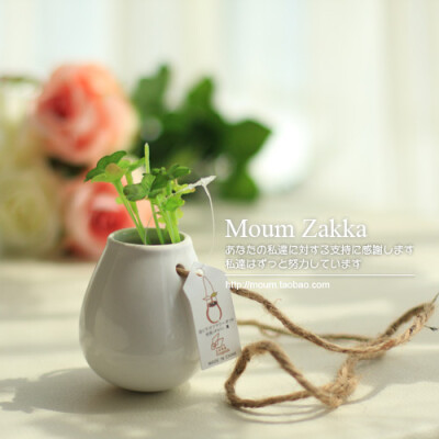 陶瓷鸡蛋吊瓶小花瓶玻璃瓶zakka生态良品日单