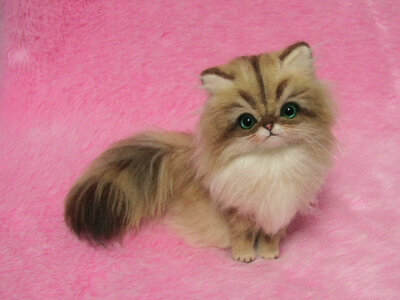 Needle Felted Golden Persian Cat: Miniature Needle Felt Kitten, Needle Felting