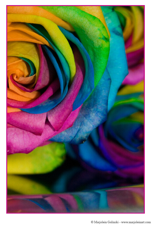 Happy Roses 12 by MarjoleinART-Photos