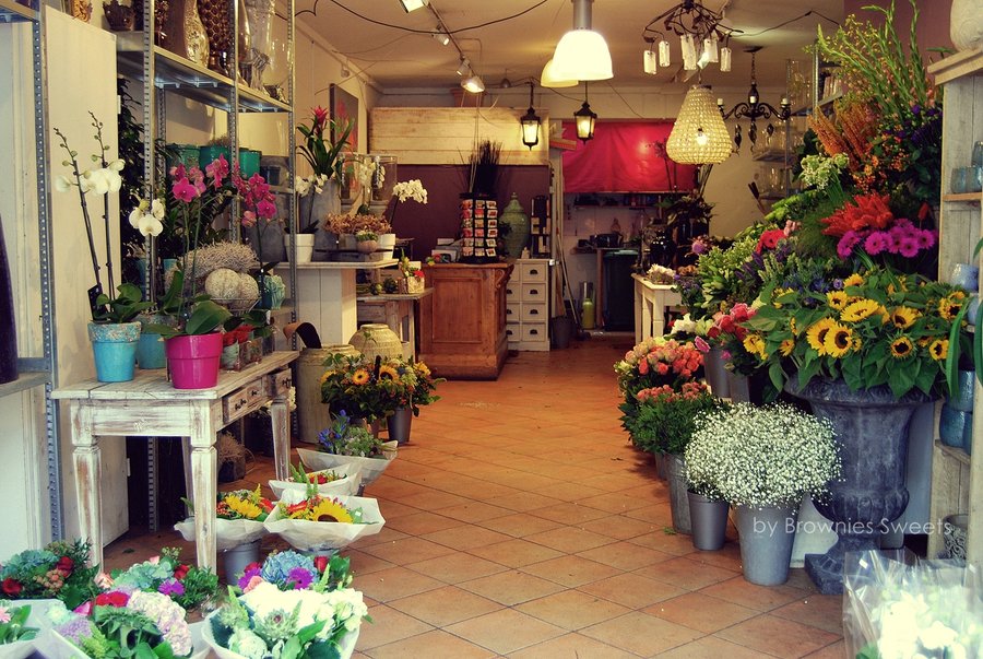 Most beauty flower shop :D by browniessweets