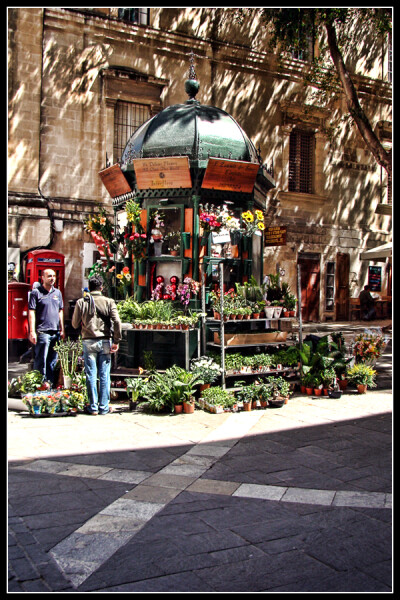 Flower Shop by HYPERIONShot