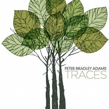 Traces- Peter Bradley Adams