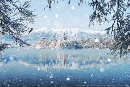 斯洛文尼亚的梦之岛。布莱德湖（Lake Bled）是斯洛文尼亚西北部阿尔卑斯山南麓的一个冰川湖。这里被誉为欧洲最美丽的角落之一。