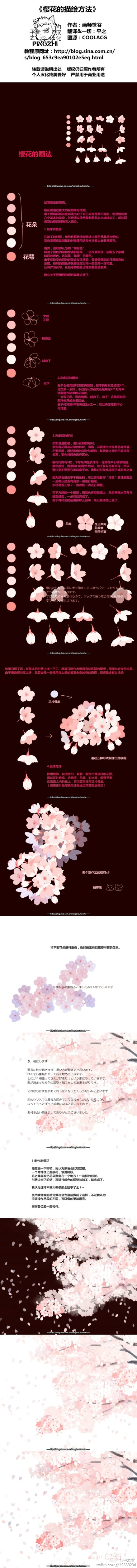 《樱花的描绘方法》来自日本的画师笹谷的插画教程，真心美。看不清请戳大图。图源：COOLACG【转载请说明出处】