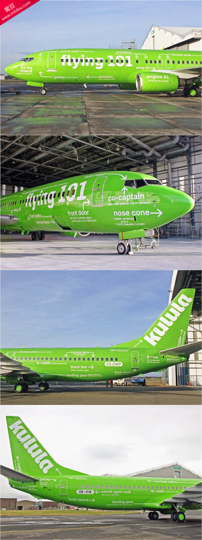 世界上最绿的客机。南非一家航空公司将旗下的飞机全部设计成通体绿色，每天这些绿萌萌的家伙往返于非洲和全球各地。