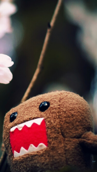 Domo Kun iPhone 5s Wallpaper